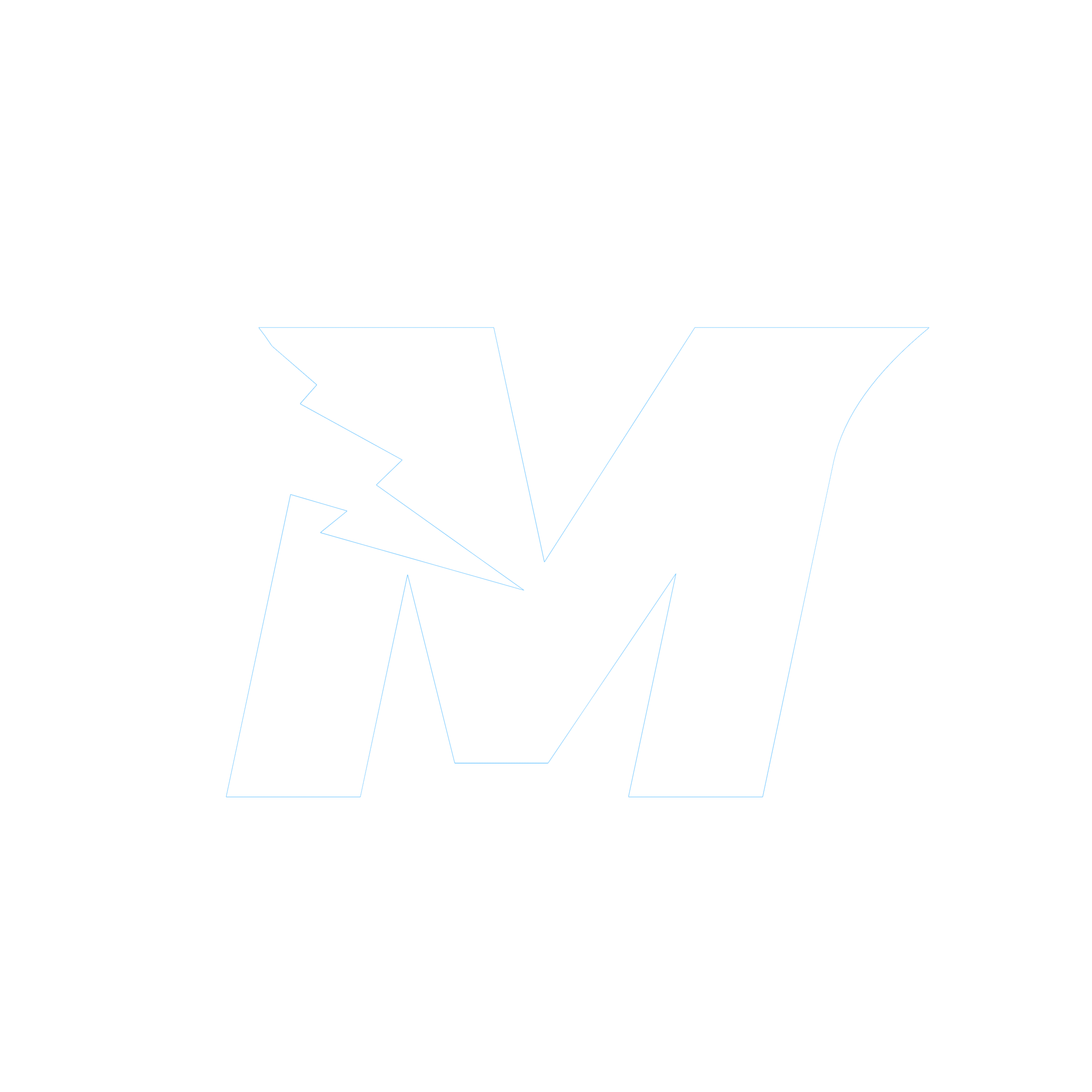 MAYERNETWORK Logo